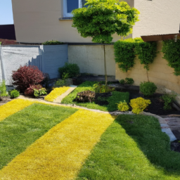 Abattage : enlevez les arbres dangereux ou indésirables de votre jardin en toute sécurité Luce